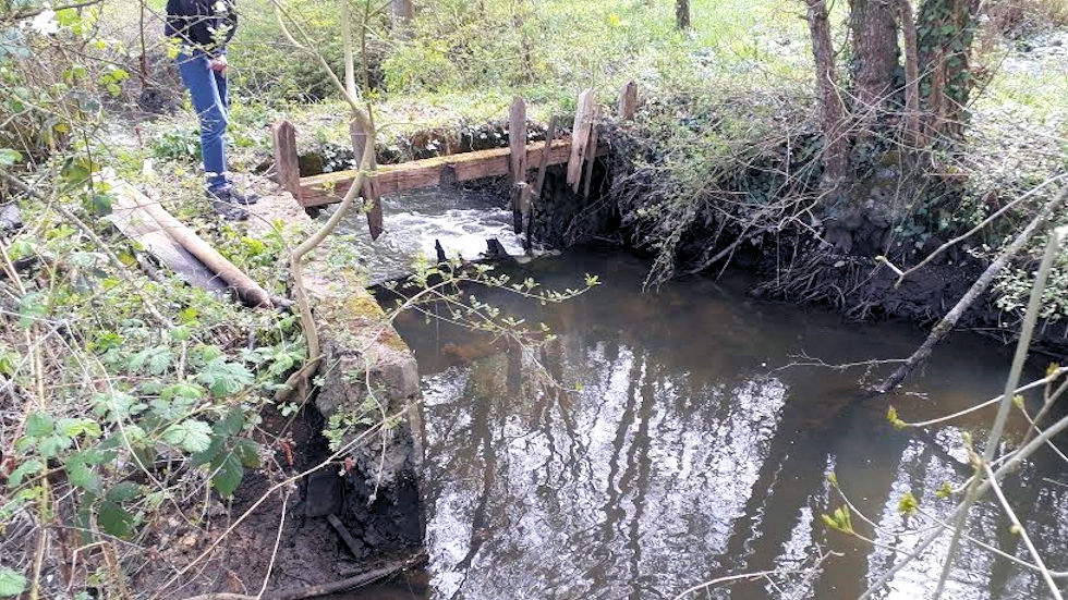 Barrage en chêne